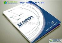 專業平面設計服務覆蓋廣州荔灣、白云、增城、南沙，助力企業畫冊設計